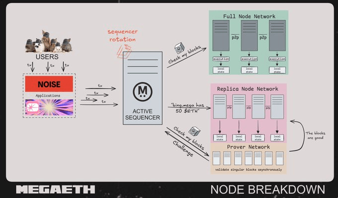 Node Specialization Network Topography