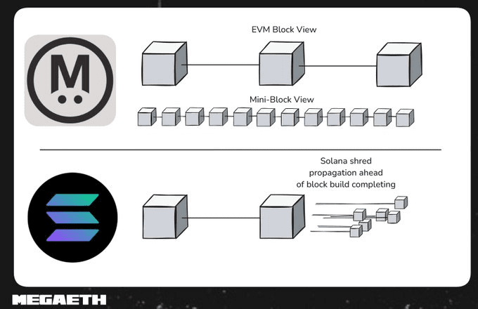Mini-Blocks and EVM Blocks Visualization
